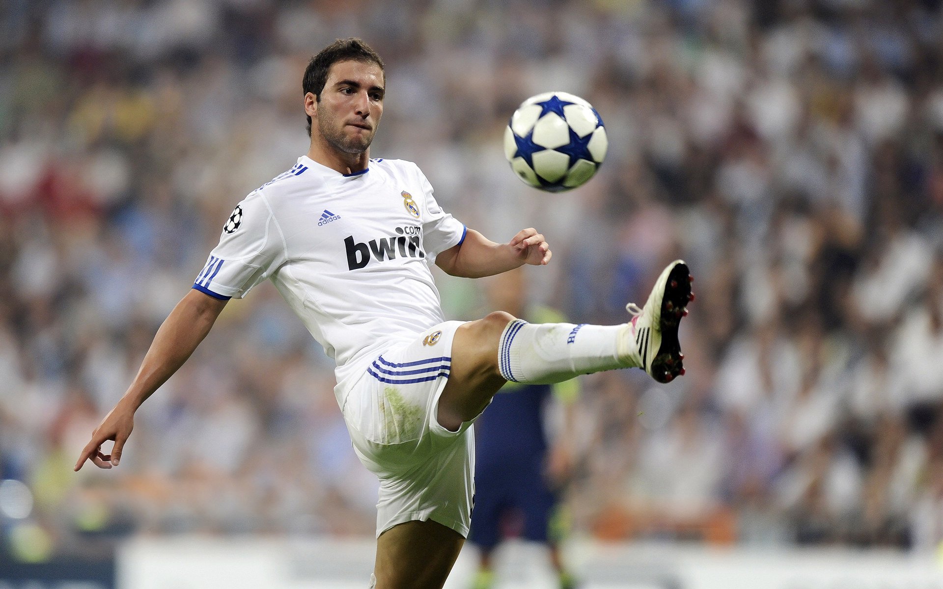 “最强防守者：联盟中守护篮筐的铁壁队长”